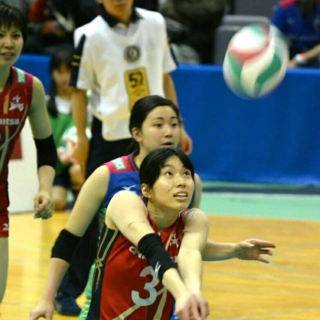 山口良二 on Instagram: “#新鍋理沙#戸江真奈 #野本梨佳 #久光製薬スプリングス #Vリーグ #サーブレシーブ賞 #アウトサイドヒッター#リベロ#Volleyball #volleyballgirl #sinnaberisa #toemana #nomotorika #outsidehitter…” (75331)