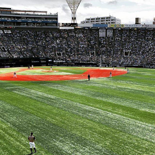 薔薇と銃 on Instagram: “北海道日本ハムロペスの時の守備位置左中間側に寄る守備体系栗山凄えな筒香の時は、サードがレフトの位置に入って、右中間を詰めてるし。策士だわ。#北海道日本ハムファイターズ #日ハム#ロペス#守備位置 #ベイスターズ #baystars” (75627)