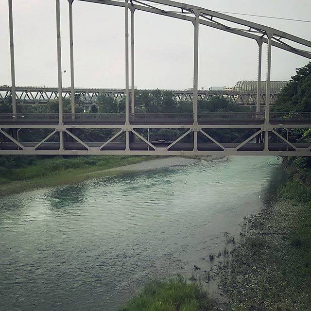ヨロズナ / Yorozuna on Instagram: “多摩川橋より。白鷺が魚狙ってた。 #多摩川橋 #tamagawabridge #橋 #友田水管橋 #水道橋 #bridge #多摩川 #tamariver #川 #河川 #river #小作 #ozaku #羽村市 #hamura #東京 #tokyo #japan” (77222)