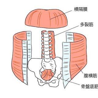 ∞UPBODY on Instagram: “腹横筋の作用には、手脚を素早く動かす運動機能、 スポーツでのパフォーマンスアップ、バランス能力向上、 姿勢矯正、出産後の骨盤底部痛対策、腹腔内圧の上昇での尿失禁対策、 腰痛対策、骨盤、仙腸関節の安定化等まだまだありますが、 まずは最近メディアでも見かけたり聞いたりする…” (82021)