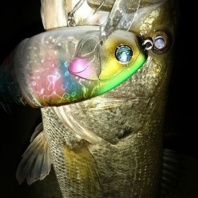 PHAT LAB®︎ GLOBAL on Instagram: “Night fishing? ( Photo by  @ai.love_biwa ) ・・・ 昨日のナイトフィッシュ＆ꫛꫀꪝ✧‧˚タックル❤  ネコソギル、開封一投目で釣れてまったよぉ(*´∀｀*)w  ꫛꫀꪝ✧‧˚タックルは溺愛?? 嬉しい～(◍´ꇴ`◍) #ネコソギル…” (86160)