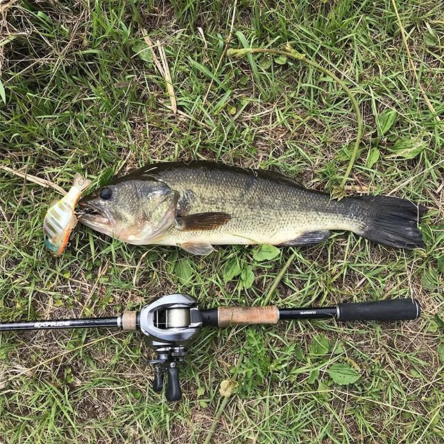 ともぞ on Instagram: “#爆風 の中なんとか45up1本#jackall #ジャッカル #チビタレル #shimano #シマノ #chronarchmgl #クロナークmgl #expride #エクスプライド” (86213)