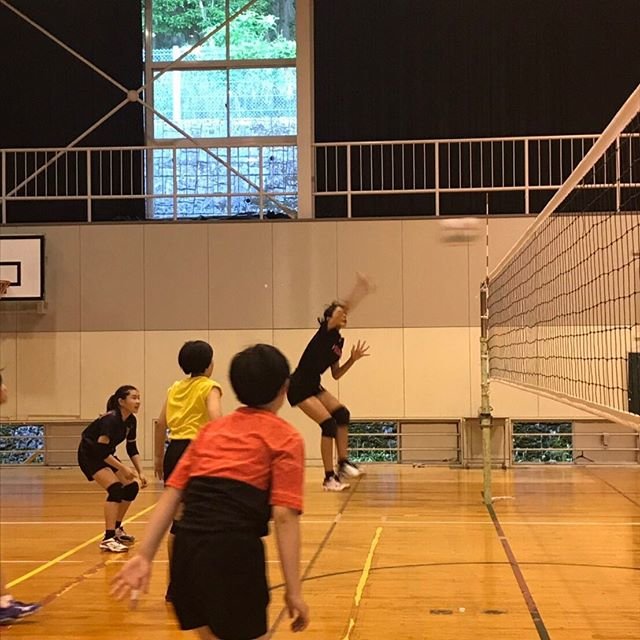岐阜クラスタバレーボールクラブ on Instagram: “今日は午後からの練習? ﻿ 細かくチャンスボールからの反復練習でした? ﻿ 気の引き締まった練習だったので ﻿ あっーーーーーーっと気がついたら5時でした……?﻿ 時間の経つのも忘れる練習?﻿ 何か伝わればいいですね?﻿ 監督は伝わるまでしつこい……ですよ……?﻿ ﻿ ﻿…” (86744)