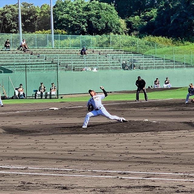 やま⚾️? on Instagram: “. . . . 球の強さはある . . あとはもうちょいまとまりがあれば… . . . #阪神タイガース #阪神タイガースファン #阪神ファンと繋がりたい #虎党 #宮崎 #宮崎フェニックスリーグ #日本ハムファイターズ #投手 #石井将希 #最速149キロ #サウスポー…” (87507)