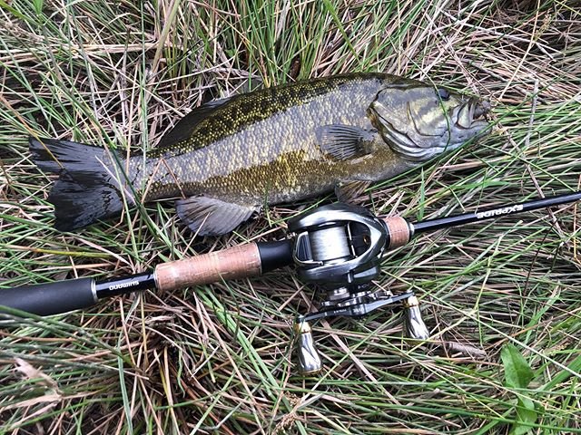 @okyawatan_hunter on Instagram: “ハリーシュリンプごいすー。#バス釣り#バスフィッシング #ブラックバス #スモールマウスバス #ハリーシュリンプ #ボトムアップ #ベイトフィネスジグ #アルデバランbfs” (87985)