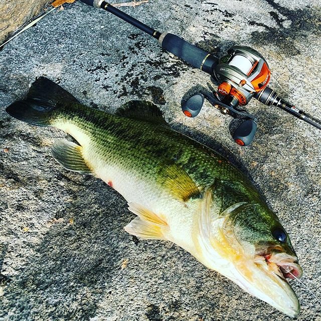 K-azu Minami on Instagram: “#鹿児島#abugarcia #アブガルシア#REVO#LT#バスビート#ブラックバス#バス#シーバス#ヒラスズキ#マルスズキ#バークレイ#ファイヤーライン#ベイトリール#ベイトフィネス#ベイトリールカスタム” (88047)