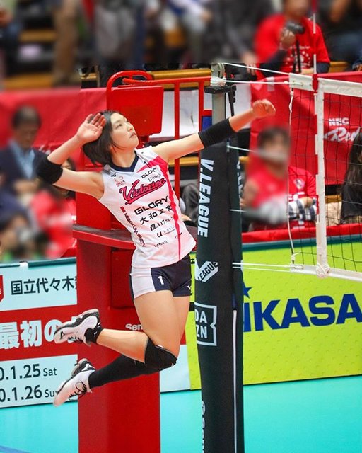 みさき on Instagram: “·2019/11/2大田区総合体育館#ヴィクトリーナ姫路 #貞包里穂 選手#vリーグ #vリーグはバレーだよ #volleyball” (89030)