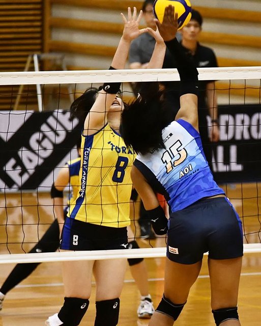 Riko on Instagram: “サマーリーグ女子 西部大会#古川あおいアン#岡山シーガルズ#vリーグ #バレー#バレーボール#volleyball #sports#スポーツ#岡山 #岡山県#nikon #ニコン#d7500 #nikond7500” (89038)