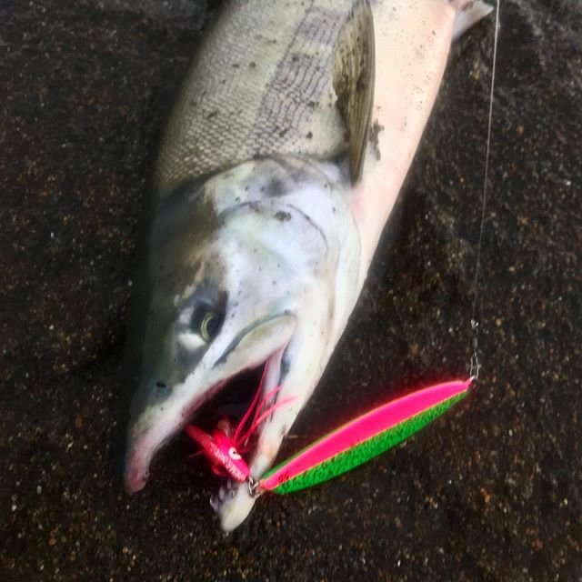 LURES CHEMIST on Instagram: “?サーモンスプーン55ラージシリーズ  期間限定生産製品指定のご案内。 ?製作期間 ●安定生産期間 11月〜12月上旬 ●少量生産期間 12月中旬〜2月まで。…” (89944)