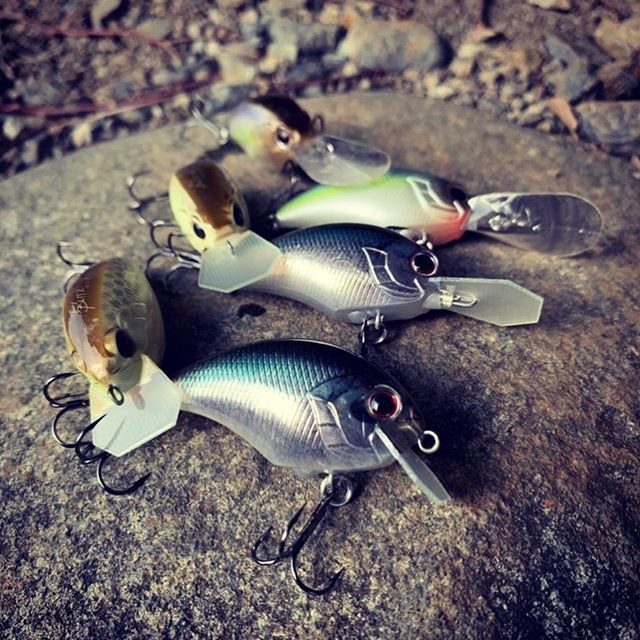 Toshinari Namiki (並木敏成) on Instagram: “Great  stop & go cranking baits ＝ TINY BLITZ series  七色ダムへの運転中の並木に変わり、ホンケンが代筆します✌️ 先日、写真であげたOSPのクランクベイトの内部構造のオリジナルアイディアへの回答ありがとうございました。…” (90907)
