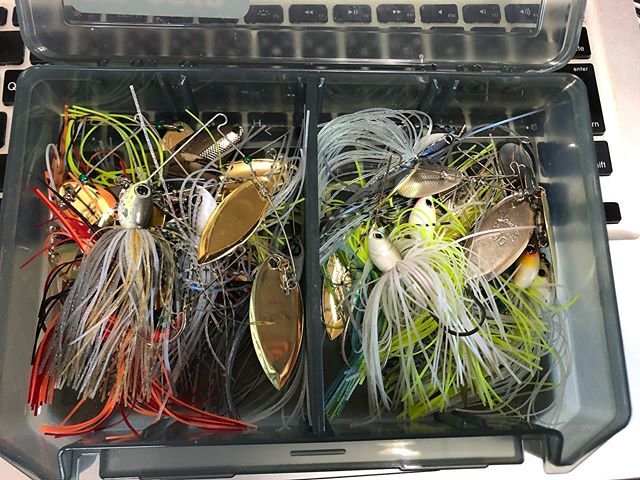 TOMO's on Instagram: “明日の準備。 スピナーベイト縛りwww 自慢じゃないが生まれてこの方、スピナべでバス釣ったの1回だけw 取り敢えず、3/8ozと1/2ozの2ウェイトを用意！ 果たして釣れるのか？ てか、何方かオカッパリ時のいい収納法教えてください?‍♂️ #スピナーベイト…” (90911)