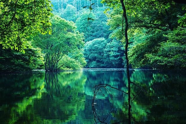 at-su アツ on Instagram: “#igers  #igersjp  #ig_japan  #olympusem5  #olympusomd  #tokyocameraclub  #東京カメラ部  #sorakataphoto  #sorakita  #landscapephotography…” (91346)