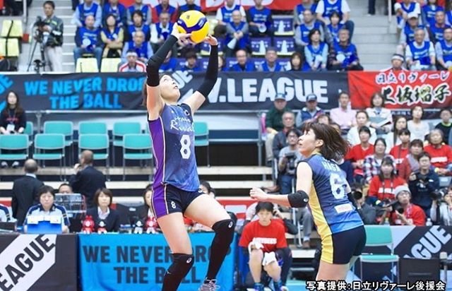 佐藤美弥 on Instagram: “公式が出してくださった！#佐藤美弥 #日立リヴァーレ” (92130)