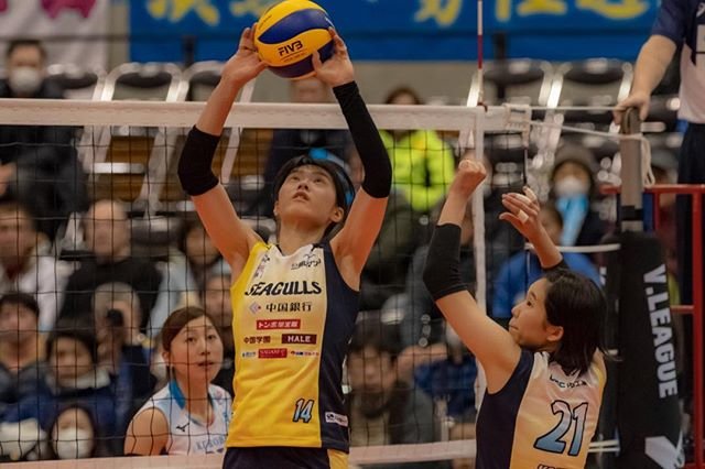 Yasutaka Harada on Instagram: “2019/1/26 4連勝！ ?岡山シーガルズ3-0KUROBEアクアフェアリーズ? #バレーボール #volleyball #岡山シーガルズ #okayamaseagulls #宮下遥 #harukamiyashita #no14haruka #セッター #髙野由里加…” (93688)