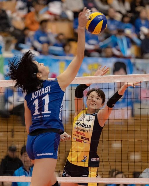 Yasutaka Harada on Instagram: “2018/11/24 ??岡山シーガルズ19-25上尾メディックス? #バレーボール #volleyball #岡山シーガルズ #okayamaseagulls #埼玉上尾メディックス #ageomedics #山口舞 #maiyamaguchi #no2yume…” (93691)