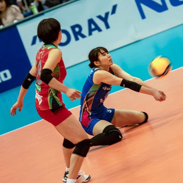 Tomoki on Instagram: “#久光製薬スプリングス#新鍋理沙#戸江真奈#vリーグ #女子バレー2019.11.23” (94402)