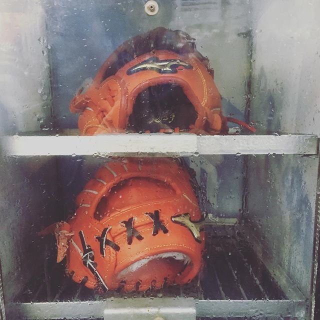 akiko on Instagram: “こんなふうにして柔らかくするなんてはじめて知った。ようやくちゃんとしたグローブにユニフォームですっかり野球女子。#女子野球 #野球 #グローブ#スチーム型付け” (94532)