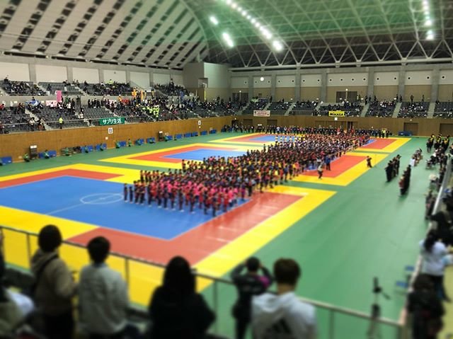 ブルーファイヤー長門 on Instagram: “第６回全日本女子総合選手大会！始まります‼️・#ドッジボール#ブルーファイヤー長門#最高チーム#公式ドッジボール#青炎長門#ジュニア#小学生#スポーツ#全日本女子総合選手#スカイホール豊田” (96058)