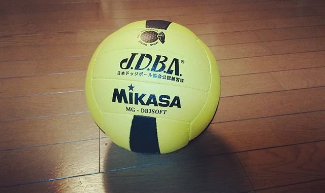 まりこの部屋 on Instagram: “息子が、夏に始めたドッジボール? 先日の試合は、初めての公式試合でした。 . 何と何と〜、準優勝? まだまだ足を引っ張る事が多い息子だけれど ゆっくりながら頑張ってます?⤴⤴ . . 息子がずっと欲しがっていた公式球を ご褒美にプレゼント✨ それはそれは、喜びました? .…” (96061)