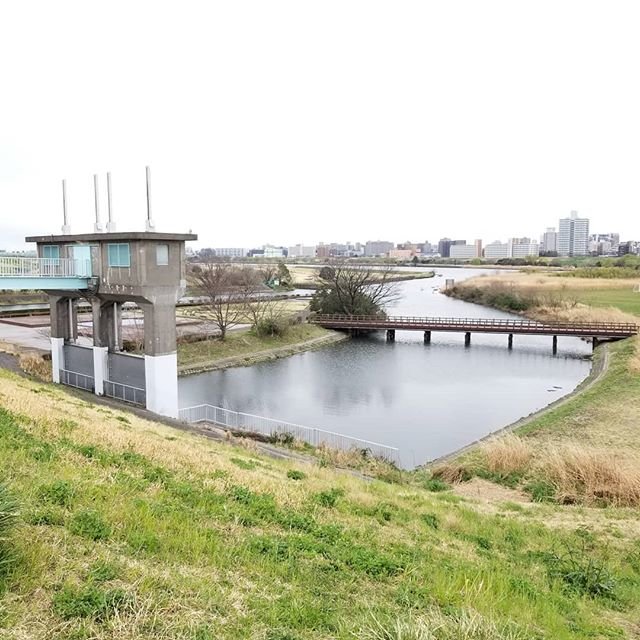 森田　充洋 on Instagram: “やっと…やっと！初釣り！しかし個人的に苦手な満潮、爆風…そして三寒四温の春の中、おもいっきりの三寒日…そりゃあね、ボーズですわ(笑)それでも久々の釣り、満喫。#バス釣り#三領水門#初釣り#初ボーズ#初ロスト#初拾い#極寒” (97417)