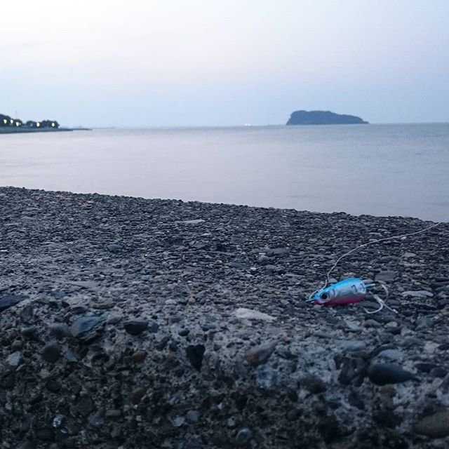Masaaki Yamazaki on Instagram: “久々の横須賀。最初はトップで狙うもなんの反応もない。#横須賀#三春町岸壁 #釣り” (97652)