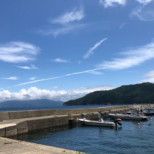 クロダイの釣り場