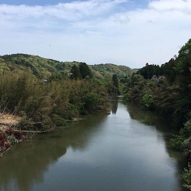 Ichiko on Instagram: “#小谷松 #夷隅川” (99567)
