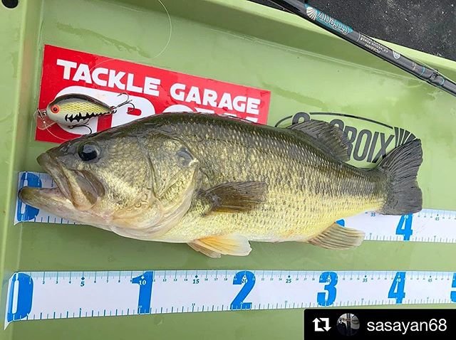 St. Croix Rods Japan on Instagram: “秋のクランクフェスティバル！? . #Repost @sasayan68 with @get_repost ・・・ 10月21日印旛沼。 今日はご褒美dayと言えるのか？？ クランクで11本、 久々にハマった！！ #印旛沼バス釣り  #印旛沼バスフィッシング…” (101097)