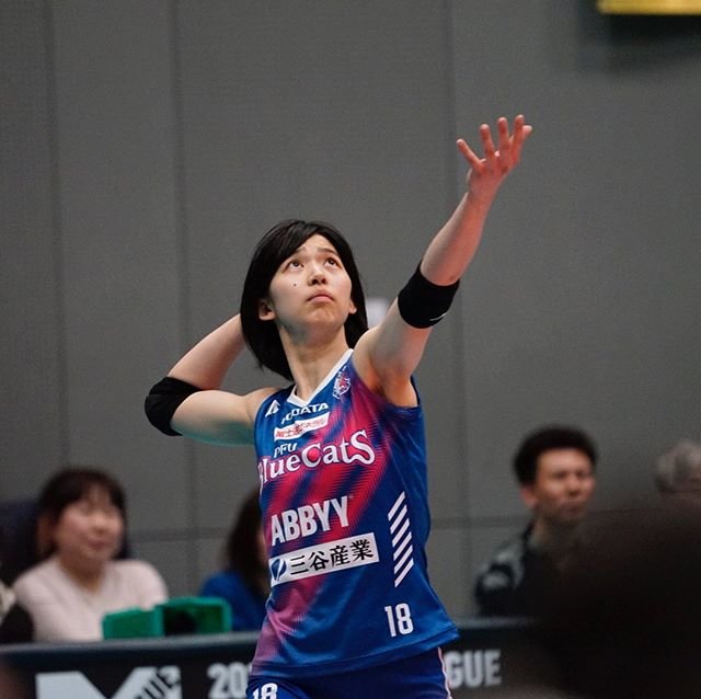 Yutaka Yamane on Instagram: “2019-2-23新日鐵住金堺体育館#PFUブルーキャッツ#山下遥香 選手” (101925)