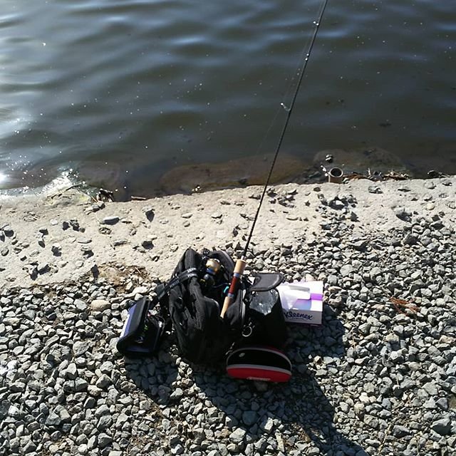 Tomy on Instagram: “かんつり?たのしいー#宮城アングラーズヴィレッジ #SHIMANO#カーディフNXs60ul” (102087)