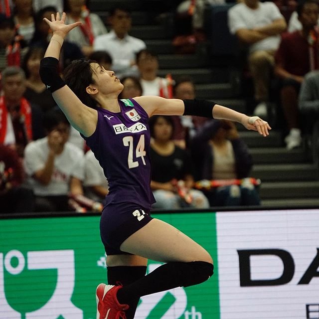 Yutaka Yamane on Instagram: “World Cup VollyBall 20192019-9-28日本 vs アルゼンチン丸善インテックアリーナ大阪 (大阪市中央体育館)#芥川愛加 選手” (102989)