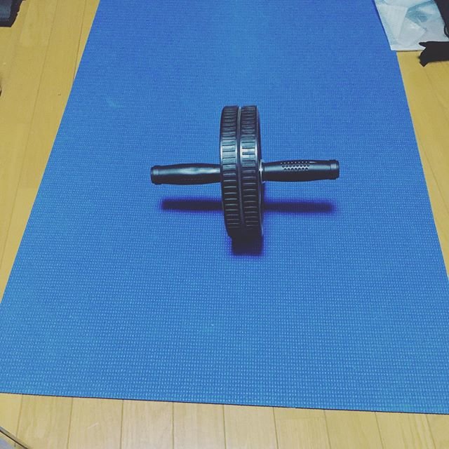 まずは痩せろ！ぼーかりおどP！ on Instagram: “リングフィット、始めるぞぉ〜！ #手に入らないので#いったん諦めて#腹筋ローラー” (103284)