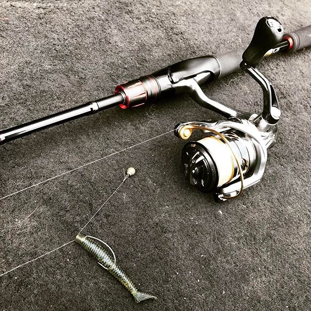 佐々一真 on Instagram: “マスターズ三瀬谷戦のメインタックル！ 中小規模のクリークやワンド入り口の魚が差してきそうな場所をランガン。 キモは岸ギリギリにキャストしてズルズル引っ張ってくることでした。 ロッド：シマノ ゾディアス264UL-S リール：シマノ ヴァンキッシュC2000S…” (103641)