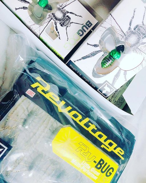 Hiroki Nakata on Instagram: “少量入荷❗️ お問い合わせはお早めに❗️ . 野尻湖ガイドサービスのご予約は https://www.nojirikoguide.com/contact.html . #ジャッカル #bugdog  #rvbug  #ロイヤルブルーフィッシング #マグナムガイドサービス…” (104778)