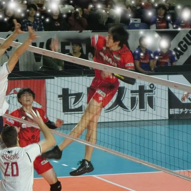 しお on Instagram: “この人の速攻は瞬きも許されないぐらい早い。 でもブロックがちゃんと着いてくる恐怖。 #wolfdogsnagoya  #ウルフドッグス名古屋  #ウルド#ウル犬 #傳田亮太#でんでん  #ミドルブロッカー #速攻#クイック #高い#早い #Vリーグ #vleague…” (106613)