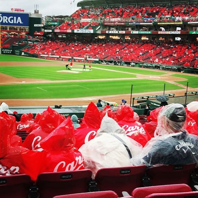 生田 登志緒 on Instagram: “#カープ#carp#雨#野球中止#先週も雨（笑）#雨オンナ（笑）#カープ女子#カッパいいねぇ #マツダスタジアム#庄司がんばれ” (110244)