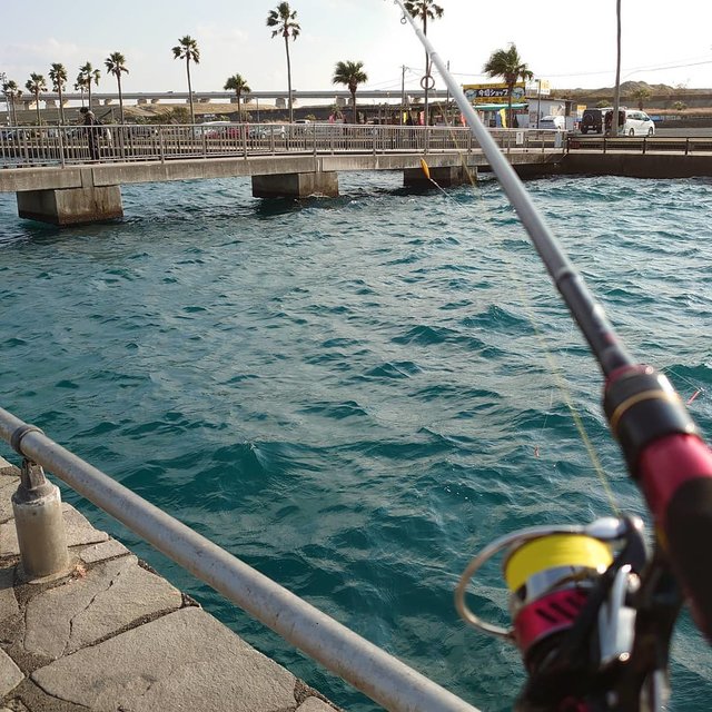 taku on Instagram: “Jan 3,2020/13:00-15:00/nofish新年一発目は海釣り公園にちょい投げしてきました(^^)強風からのゲキ渋のため2時間で心が折れましたorz今年も受難な年になりそう。。#浜名湖#新井海釣り公園#ちょい投げ#ガルプイソメ#釣り #nofish” (112106)