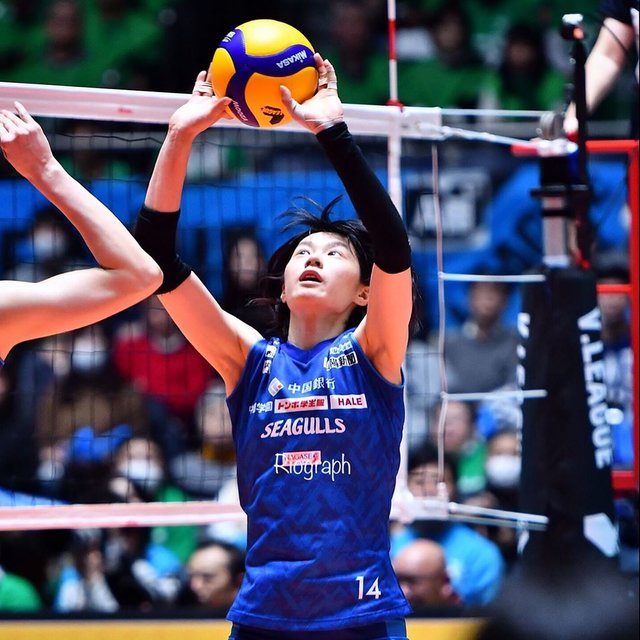 RioGraph.jp on Instagram: “2020-01-26 代々木　決勝#岡山シーガルズ#宮下遥 #vリーグ#photography #volei#volleyball#排球” (113292)