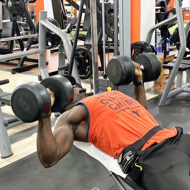 MR.TFM on Instagram: “Grind now shine later ??. #inclinedumbbellpress #chestworkout #chestexercises #TFM #trainwithfadhilimbagatz #getfitwithfadhilimbagatz…” (115386)