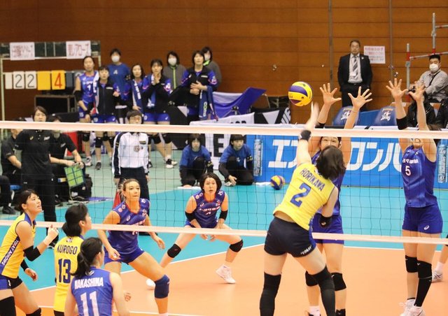 Hidemasa Muta on Instagram: “初めてのVリーグ観戦②トヨタ車体クインシーズ vs 東レアローズ#VLeague #Vリーグ #Vリーグ女子 #トヨタ車体クインシーズ #荒木絵里香 #東レアローズ #黒後愛 #初観戦 #my_eos_photo” (116025)