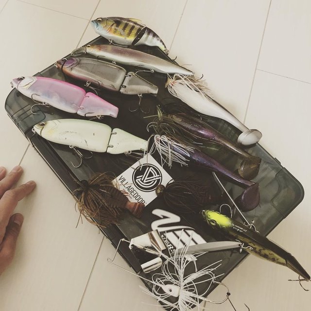 Ryohei Sashida on Instagram: “明日の戦利品。なんだかんだで霞ヶ浦陸っぱり3回目。霞バスさんそろそろ相手して欲しいです。 #バス釣り #バスフィッシング #相模湖バス釣り #河口湖バス釣り #柴山沼バス釣り #霞ヶ浦バス釣り #villagedoor_bass #drt #deps #メガバス…” (117144)