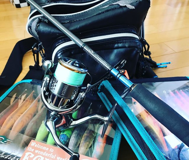 カミカミ王子 on Instagram: “カミカミ王子！本日退院しました〜??さっそくエギングタックルの準備??遅れを取り戻さなければ? #カミカミ王子 #祝 #退院 #餌木 #エギング #エギングタックル #準備 #18ステラ #リハビリ #釣行 #? #いつ行こうか #? #台風 #24号 #あっち行け…” (117276)