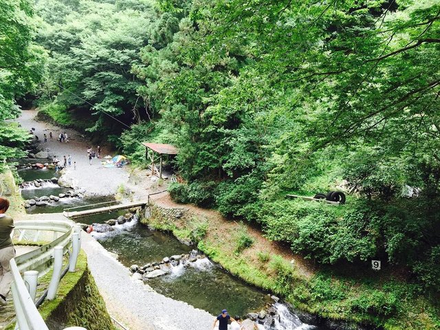 Yukari on Instagram: “#山の日 は#奥多摩 にてます釣り〜?#峰谷川渓流釣場” (117558)