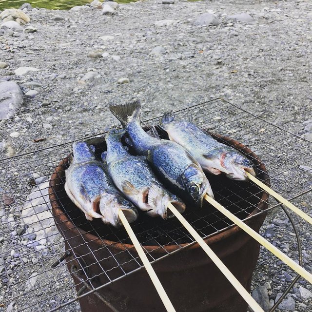Yoichi Arakawa on Instagram: “奥多摩フィッシングセンターにて釣ったニジマスを食してます?#奥多摩フィッシングセンター” (117559)