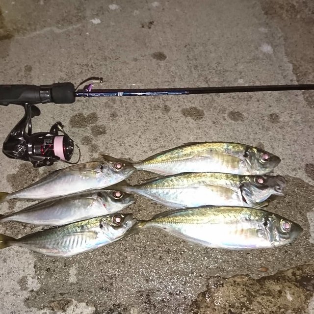Kazuki Nishikawa on Instagram: “眠れぬ夜はアジングに限る(笑)釣れないと答え探しで眠気が覚める(^^;釣れたら釣れたで眠気が覚める(笑)#ヤマガブランクス #ブルーカレントⅲ #アジング #デュエルハードコア #アジアダー” (117580)