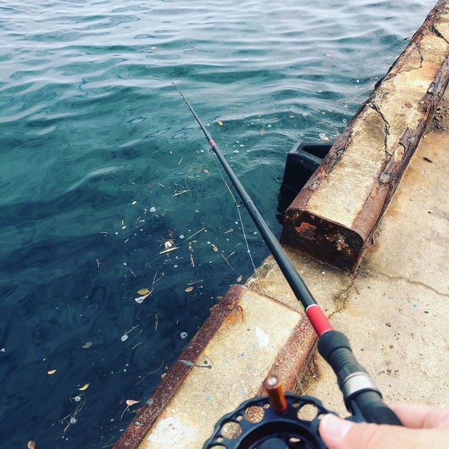 Godspeed！ on Instagram: “冬のヘチ釣りでチヌ を狙ってみました。 経験豊富な先生に教えてもらいエサまで用意してもらうという贅沢な釣りでした❗️ 残念ながらアタリも貰えず撃沈でしたが、海に行くと気分も紛れて良かった?  欲を言えば、もう少し濁りが入っていればなぁ。…” (117583)