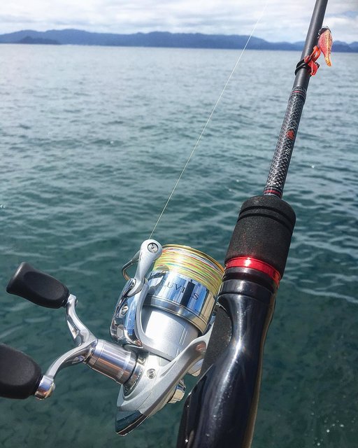 Gazi on Instagram: “#spinningreel  #reels #fishing #fishingreels  #luvias #daiwareels #daiwafishing  #daiwaluvias #daiwarods  #ルビアス #07ルビアス  #ルビアス2506w  #月下美人…” (117587)