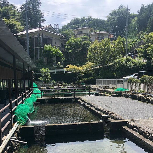 Takashi  Nishizuka on Instagram: “娘の友達家族とBBQ? こども達は釣り初体験? 天気も最高で充実の1日でした? ここは小さな子供がいても安全で安心して遊ばせられるし、従業員の方達も皆さん優しく、居心地の良い所でした? #釣り堀cafe二見 #奥多摩カフェ #奥多摩 #奥多摩bbq #奥多摩釣り堀 #bbq…” (117617)