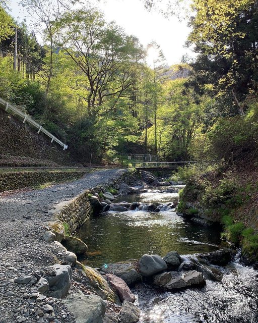 sakura on Instagram: “?#渓流#渓流釣り#ニジマス#マイナスイオン#山#癒し#奥多摩#峰谷川渓流釣場#水が綺麗#心癒される#ドライブ” (117624)