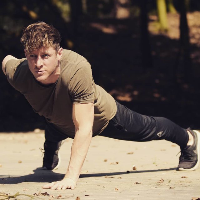 Hayo Venema on Instagram: “Push-ups are one of my favorite body weight exercises because you can do them anywhere and get a good pump.  They are effective for…” (117648)